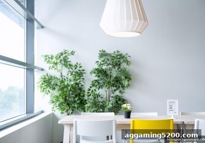 华体会体育真人平台游戏意外应对全攻略：从预防到赔付的完整机制解析