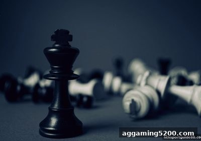 华体会体育·五龙争霸围棋棋局精析与技术提升全指南