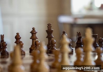 麻将圈风与局势判断全解析：华体会体育带你解锁牌局密码