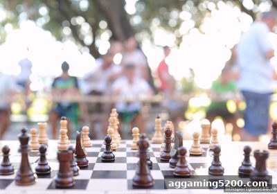 华体会体育桥牌完全指南：规则、牌型与实战技巧精讲
