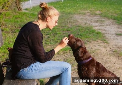 华体会体育龙虎游戏每周签到攻略：积分累积与奖励兑换全流程