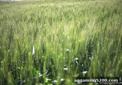 华体会体育新用户专享：注册返现玩法深度指南与收益最大化策略
