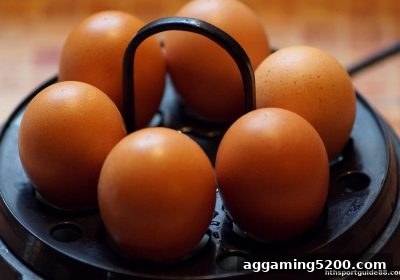 华体会体育：街机捕鱼游戏活动策划的创新思路与实践指南